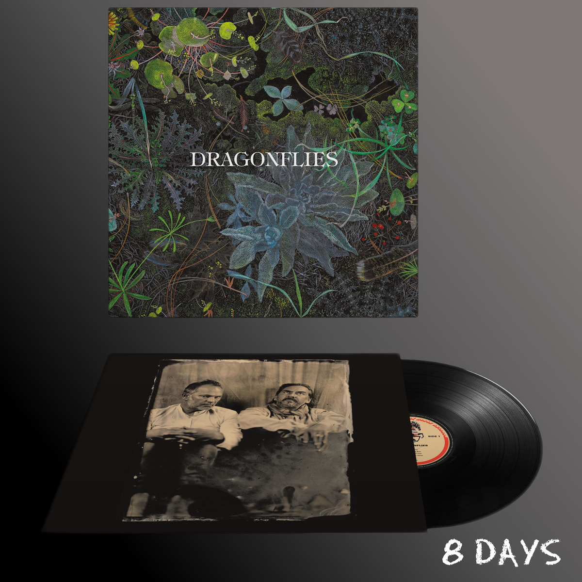 DRAGONFLIES - Dragonflies - Black Vinyl LP | Presale Ships By 18.9.26