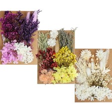 131pcs DIY Dried Flowers Daisies Leaves, Hydrangeas, Multiple Natural Pressed...