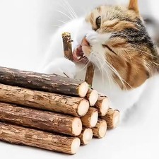 5-50pcs Catnip Stick Pet Cat Molar Toys Natural Wood Polygonum Sticks Cleaning T