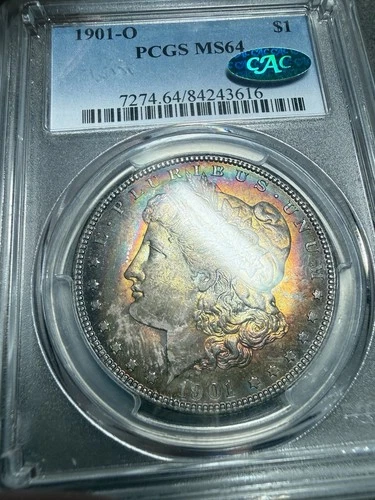 1901-O MS63 MORGAN SILVER DOLLAR Pcgs CAC Bean Huge Color Toner Toned Dual Side