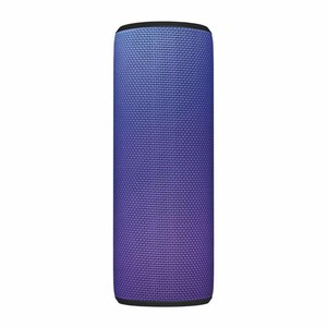 ebay megaboom