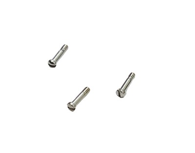 Oakley Metalink OX8153 Silver Temple Hinge Replacement Screw( 3
