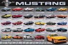 FORD MUSTANG EVOLUTION American Muscle Car History 29 Models 24x36 POSTER