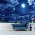 3D Moon Cloud Meadow 1 Wall Paper Murals Wall Print Wall Wallpaper Mural AU Kyra