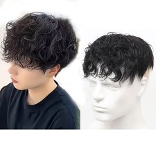 Natural Curly Hair Topper Human Hair Clip in Wiglet Hair Pieces Toupee For Men