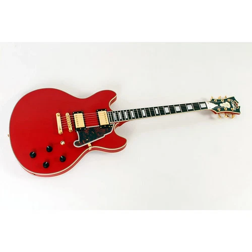 D'Angelico Deluxe LE DC Non F-Hole Semi-Hollow Guitar Cherry,Tort grd 1942425 OB