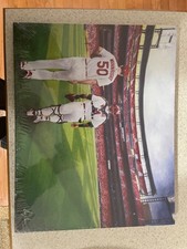 Adam Wainwright Yadier Molina St. Louis Cardinals canvas SGA 11x14 rare
