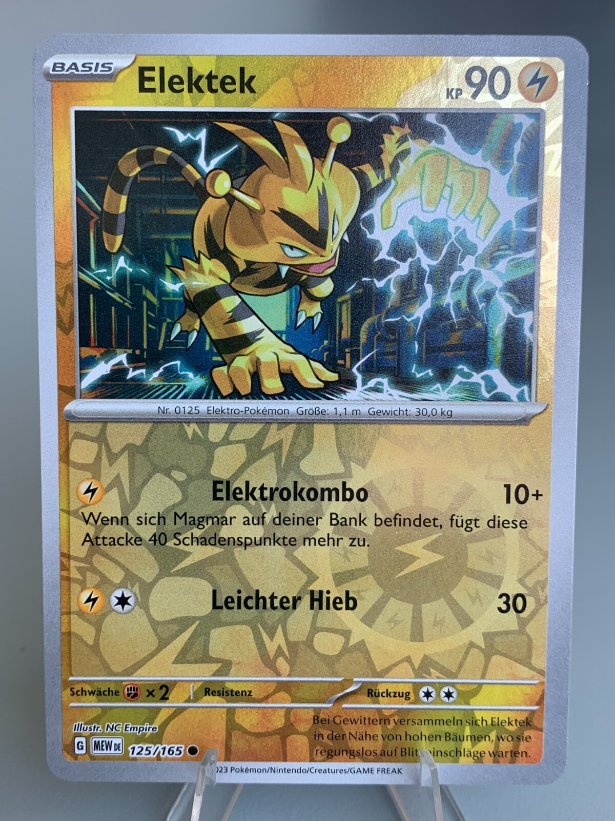 Bild 81 von 101