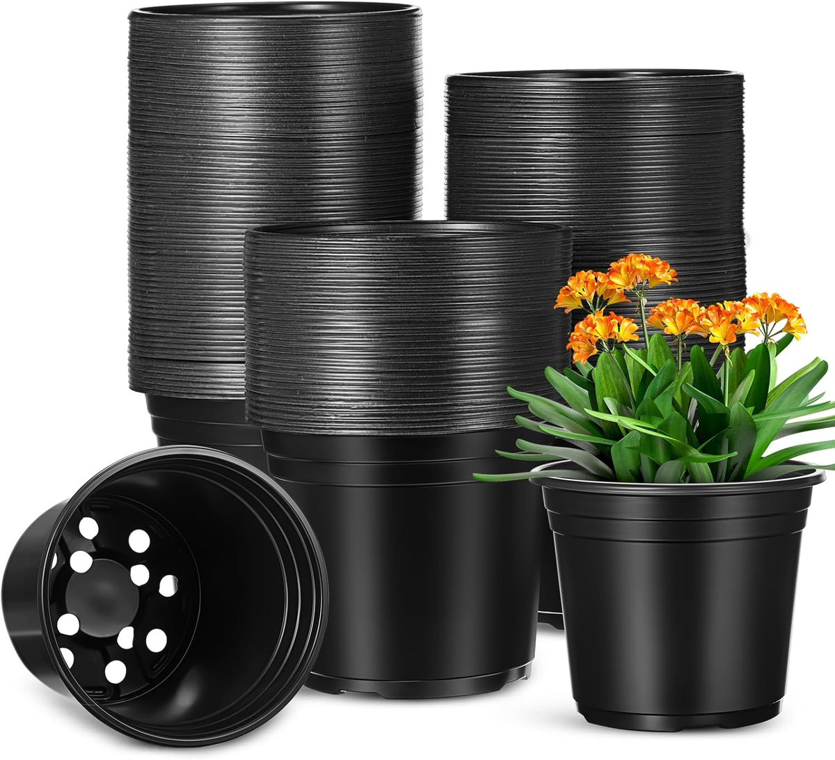 Bog Plants In Containers | Fasci Garden