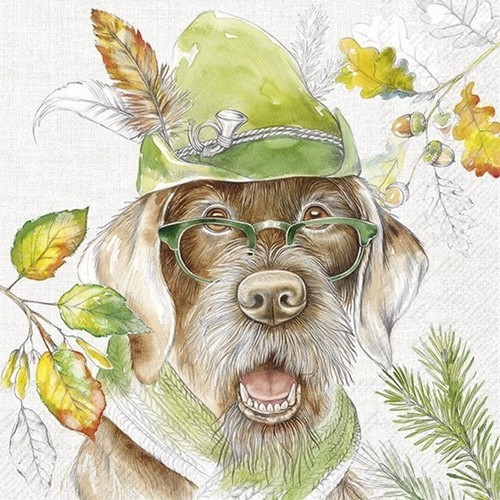 20 Servietten Hunting Dog Jagdhund Brille Lustig Tiere Wald MüTze Hut 33X33Cm-image