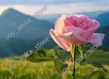 Digital Image Picture Wallpaper Background Desktop Art Download Zoom/Google Meet