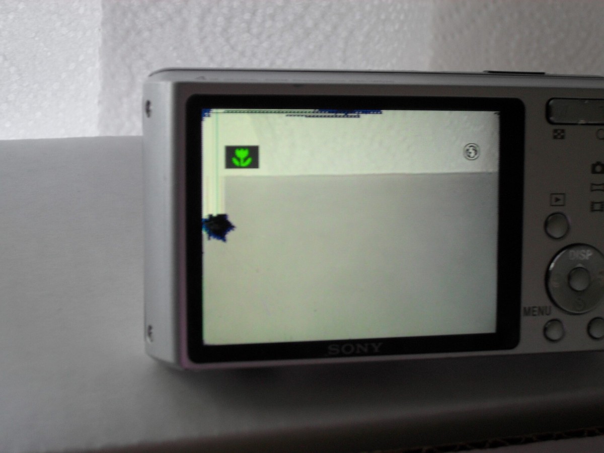 Sony Cyber-shot DSC-W530 14.1MP Digital Camera - Silver for sale