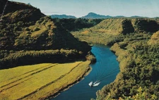 Wailua River Kauai Hawaii HI 1960 Postcard C42