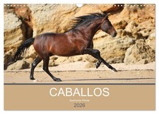 Caballos Spanische Pferde 2026 (Wandkalender 2026 DIN A3 quer), CALVENDO...