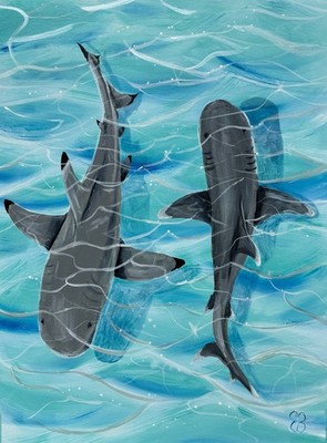 ACEO Original PRINT  ''Reef Sharks'' 2.5'' x3.5  Limited Art Card