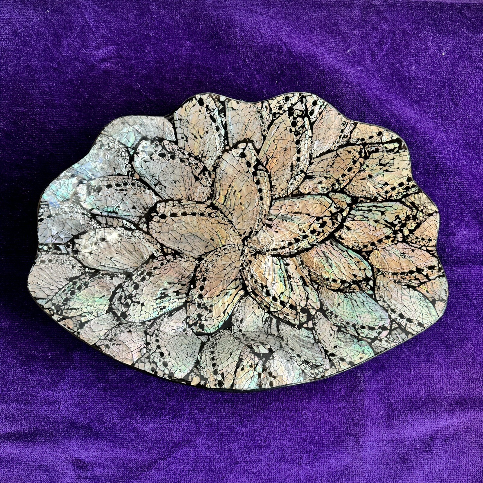 Picture 4 of 14
