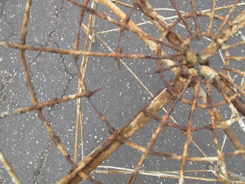 Antique Wire and Iron Garden Basket Shaped Plant Stand 29" tall c.1910 - Picture 4 of 6