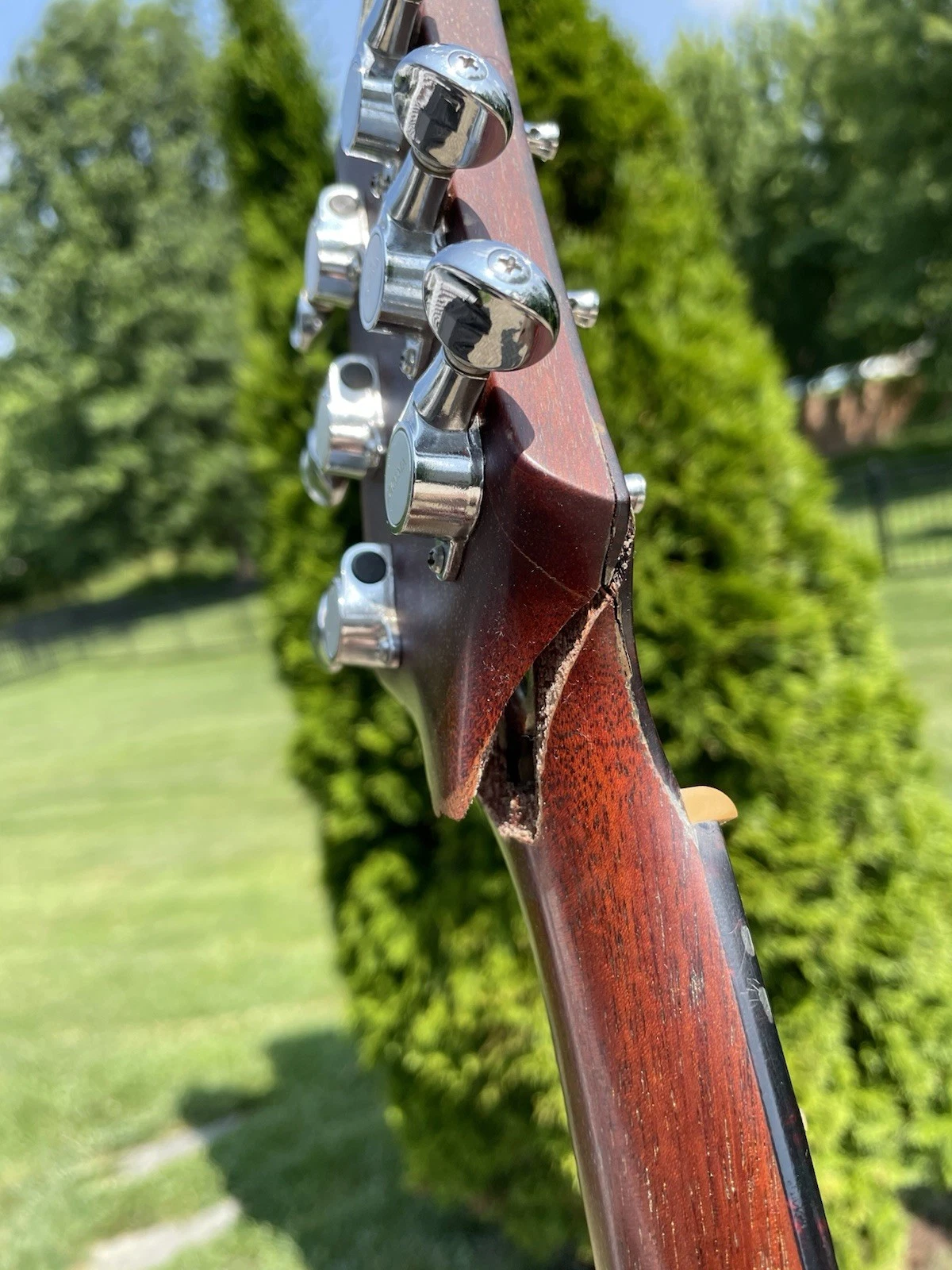Picture 6 of 24