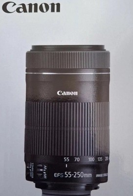 Canon EF-S 55-250 mm F/4.0-5.6 IS STM Objektiv - NEU OVP