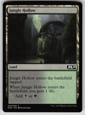 Jungle Hollow Normal C Core Set 2020 248 NM