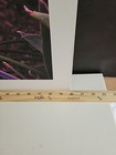 Picture 11 of 12