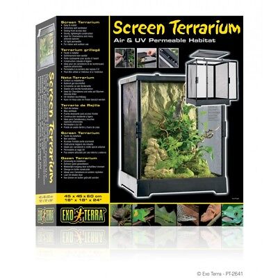 komodo glass terrarium