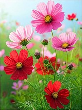 Tile Mural Cosmos Blooming Flowers Kitchen Bathroom Shower Wall Art Backsplash