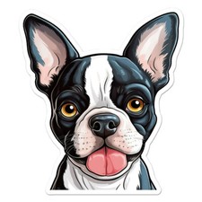 Boston Terrier, Vinyl Decal Sticker, Indoor Outdoor, 3 Sizes, 11327
