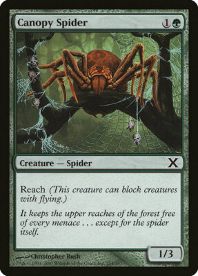Magic MTG Tradingcard Tenth Edition 2007 Canopy Spider 254/383