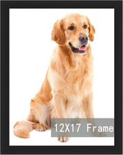 RUN HELIX 12X17 Black Picture Frames, Photos Frame with Plexiglass, Wall Gallery