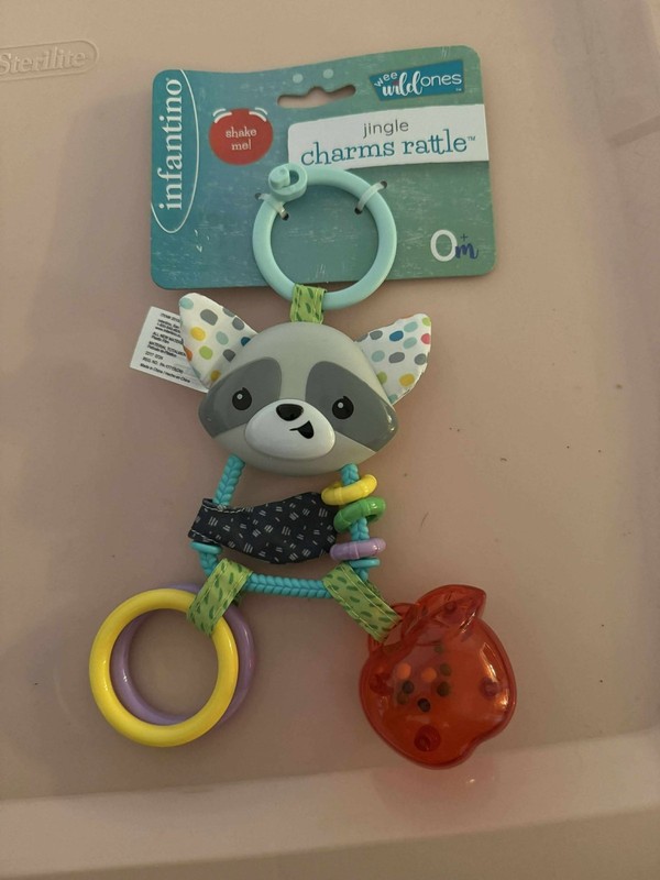 Infantino Charm Rattle