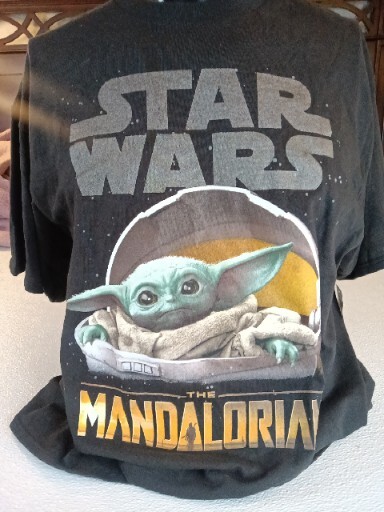 トップス 24AW cash&barba 'CASH BABY 70 TURTLE' cash&barba