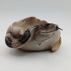 Foto 10 di 24