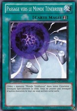 Yu-Gi-Oh: Passage to the Dark World | SDGU-FR025 | Commune | NM | FR