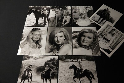 The Big Valley Lee Majors Linda Evans 10 Pressefotos TV Serie Western 1965