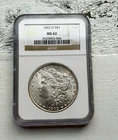 1902-O $1 Morgan Silver Dollar NGC MS62