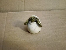 Cute Adorable Baby Sea Turtle Hatching from Egg