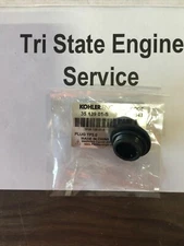 Kohler OEM Plug 35 139 01-S For WP20 WP30 Water Pumps KH-35-139-01-S 3513901-S