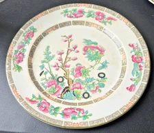 John Maddock & Sons -Royal Vitreous-England- Indian Tree Lot of 9