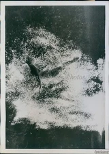 1939 Helen Meany Silver Sprins Fl Olympic Diver Perfect Form Wirephoto 5X7
