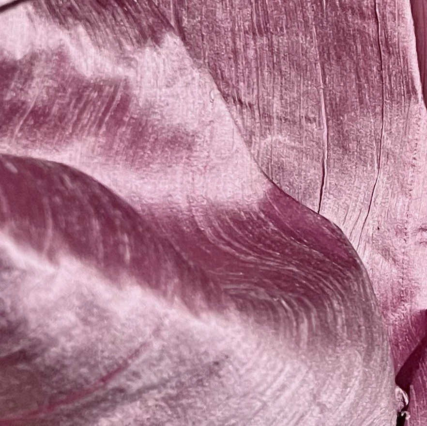 Rose Pink 100% Silk Dupioni Fabric 54” wide Sold By The Yard - Image 2 of 2