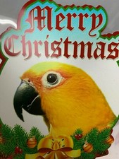 SALE  Jenday Conure / Jandaya Parakeet Parrot Exotic Bird Christmas Stockings