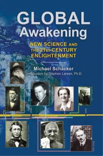 Michael Schacker Global Awakening (Relié) 9781594774829 | eBay