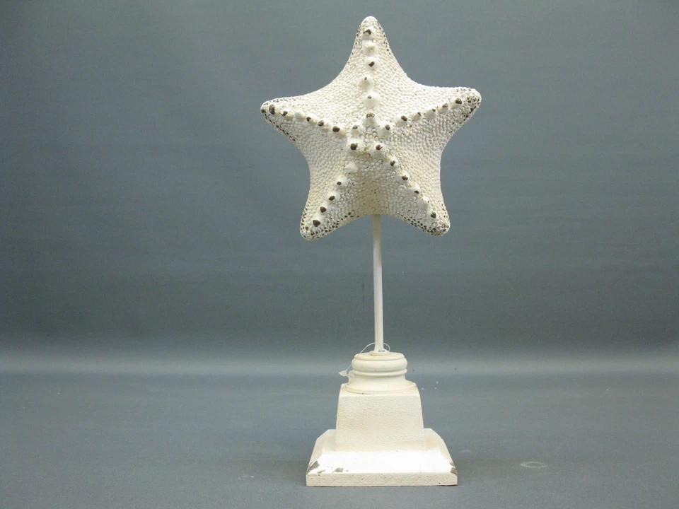 Dekoration  Dekofigur  Seestern  auf Standfuß 32 cm Statue nautische Deko - Bild 3 von 4