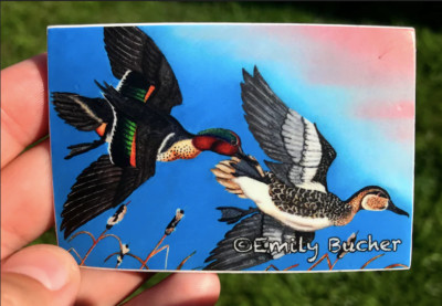 Flying Green-Winged Teal Vinyl Sticker Decal ''Twisting Teal'' | Emily Bucher