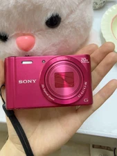 SONY Cyber-shot DSC-WX300 red 18.2MP 20x Zoom Compact Digital Camera English