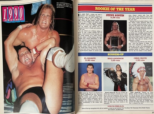 March 1991 PRO WRESTLING ILLUSTRATED pwi ~ 1990 Year in Wrestling; color pinups - Picture 2 of 11
