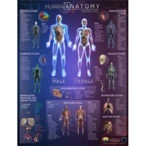 popar Human Anatomy Interactive Wall Chart 859654003208 | eBay