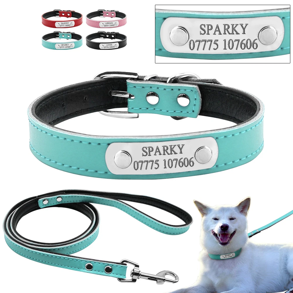 Dog collar hot sale with engraved plate