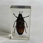 Picture 4 of 6